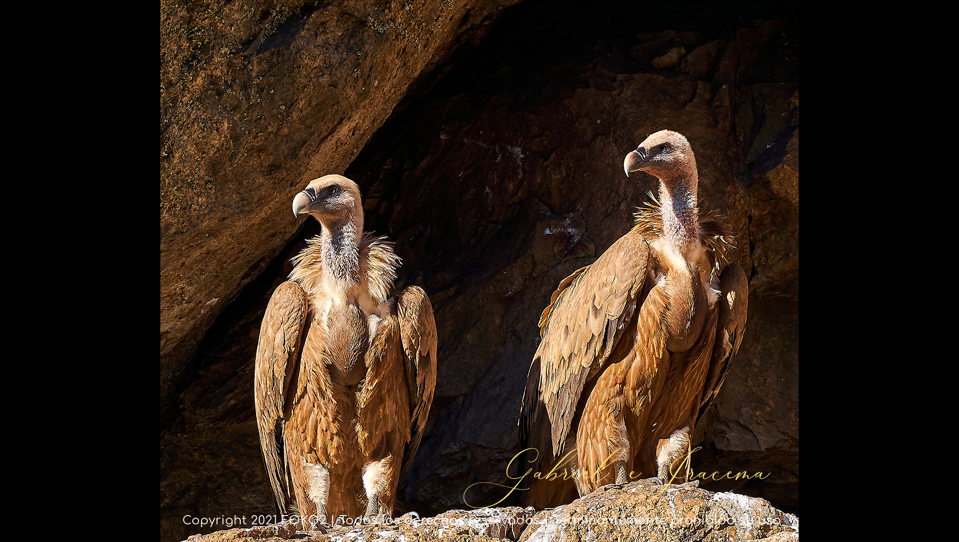 fotografía profesional naturaleza
