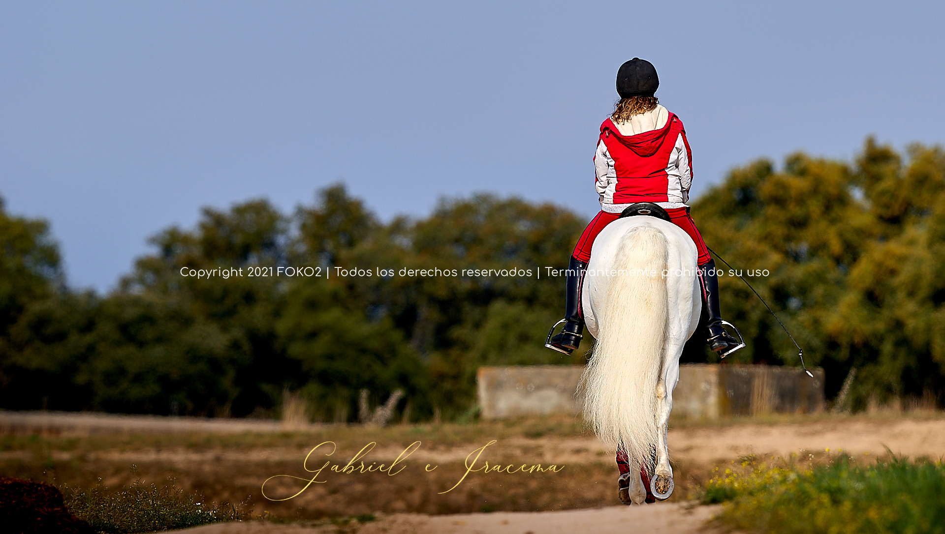 fotografía ecuestre profesional