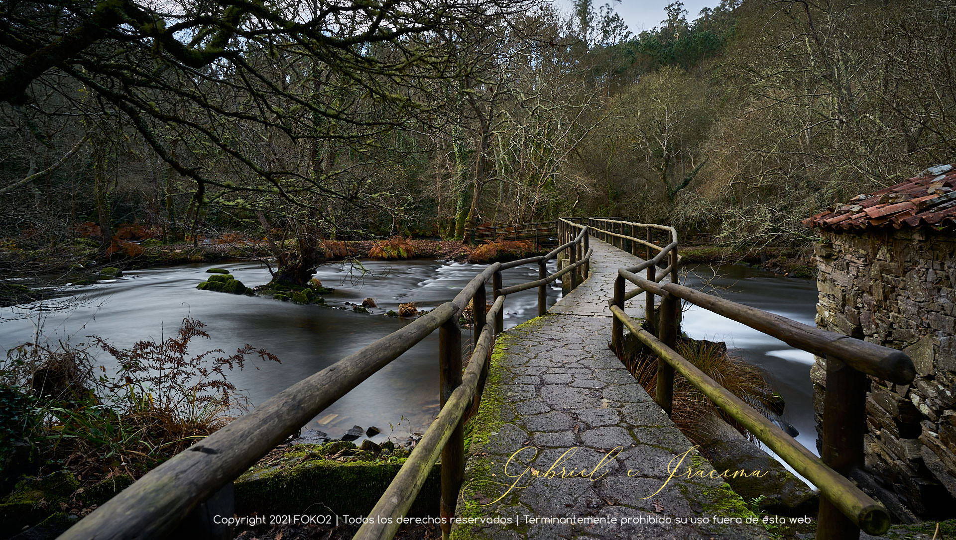 fotografía profesional paisajismo