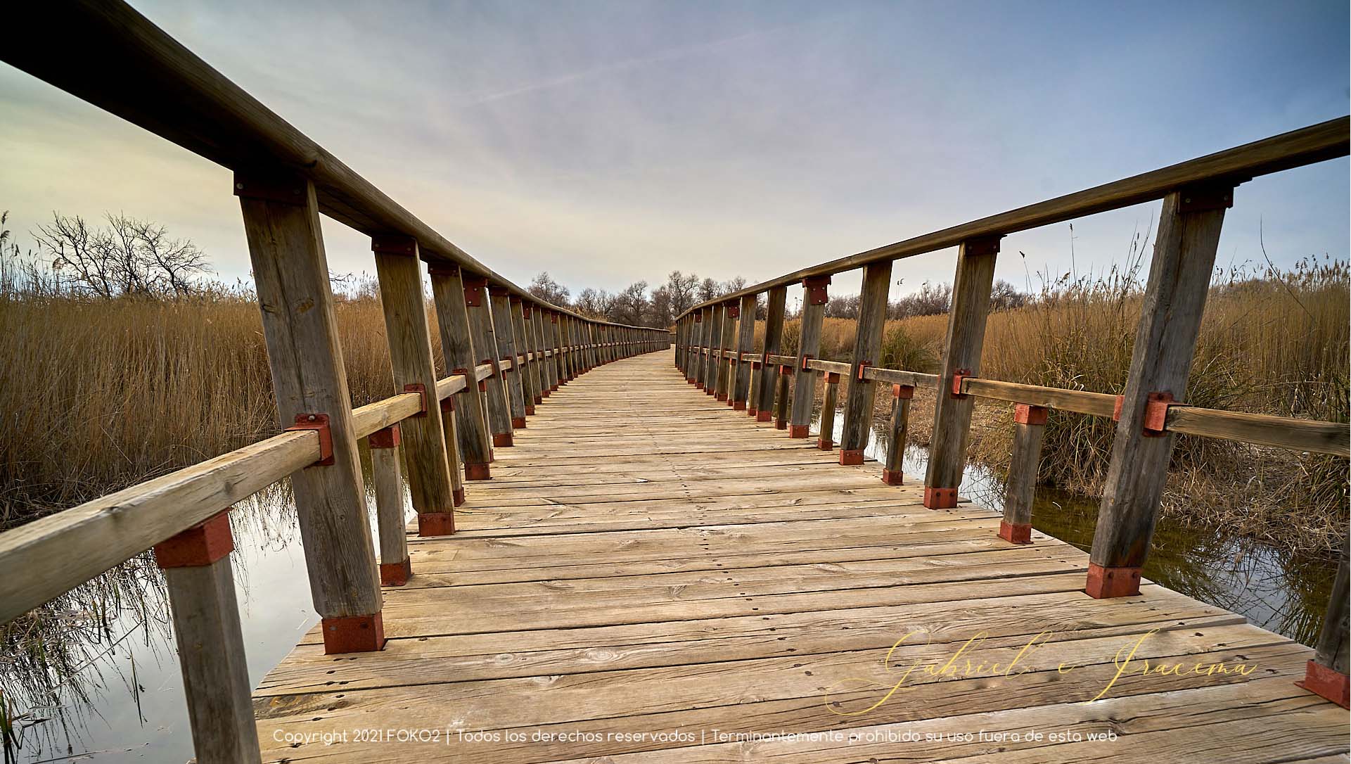 fotografía profesional paisajismo